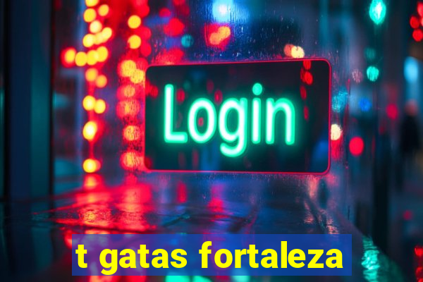 t gatas fortaleza